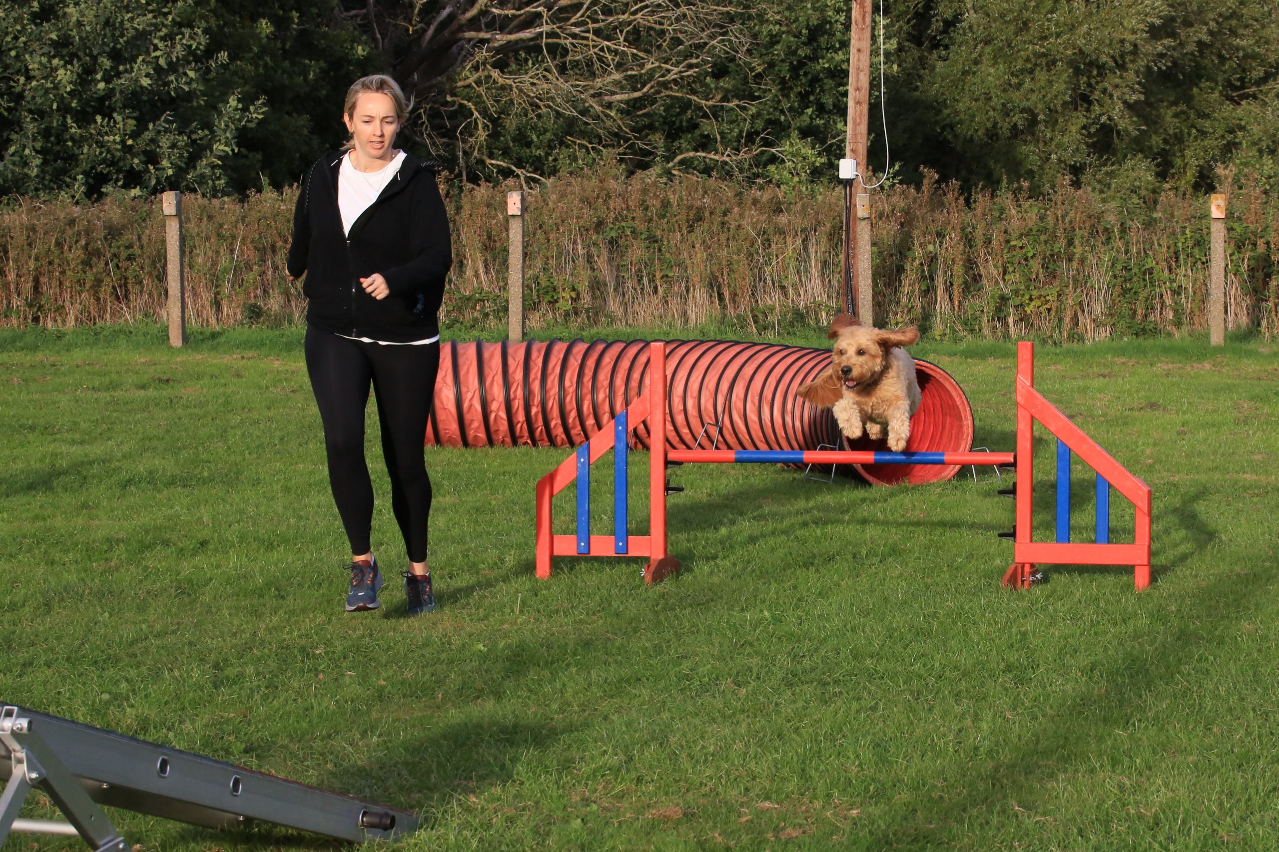 6B6A5148.JPG agility jump