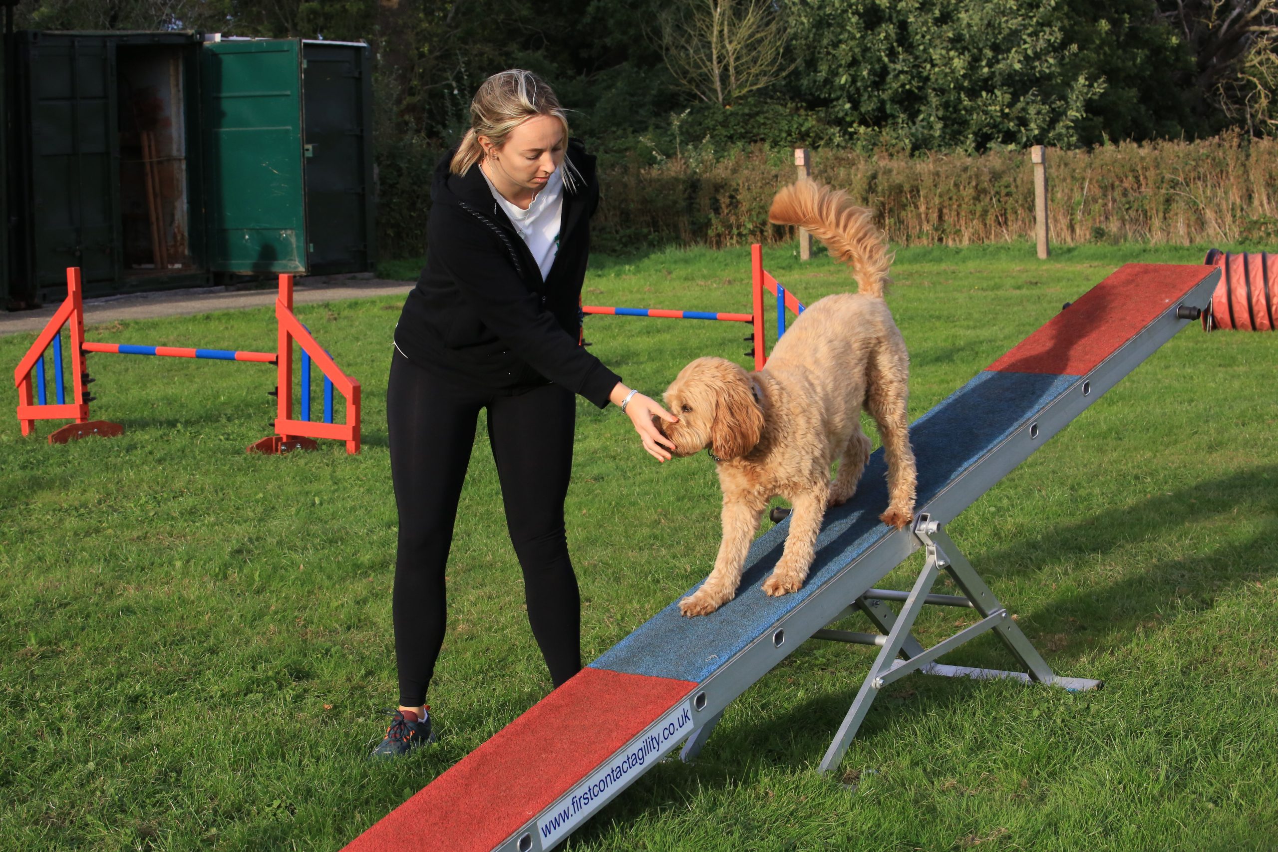 6B6A5150.JPGagility seesaw
